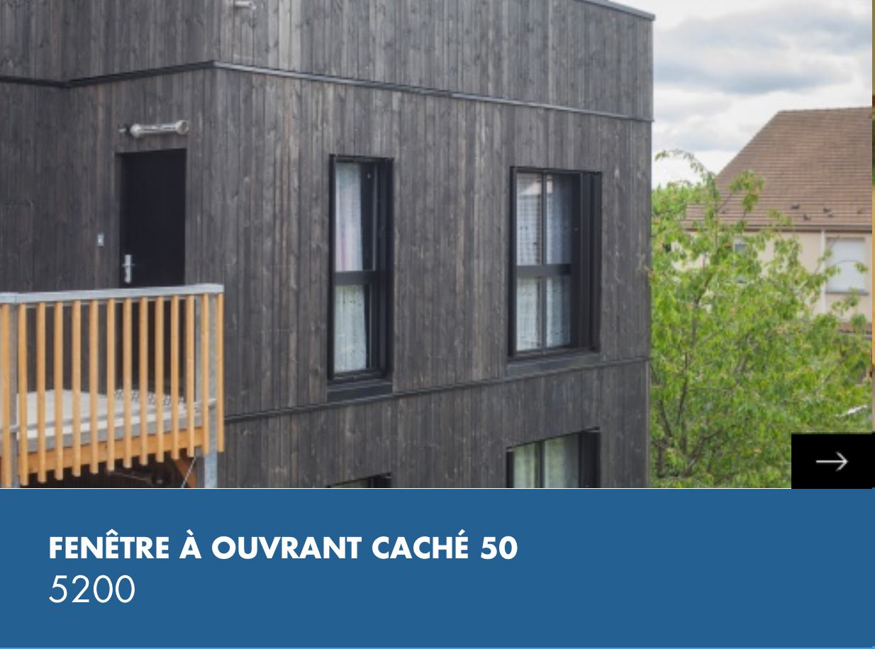 fenetre ouvrant cache 50 5200